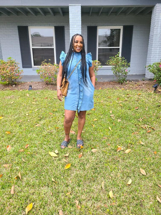 Demi denim dress