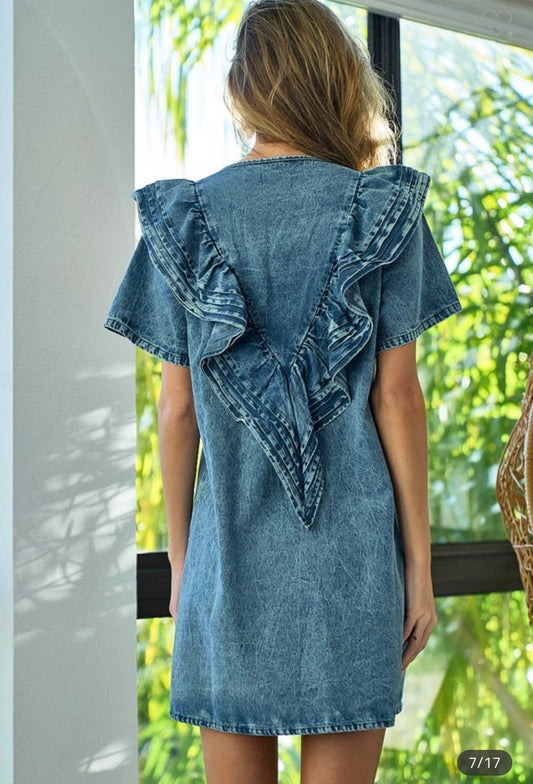 Tori Denim dress